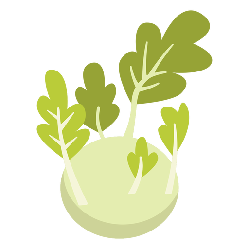 Kohlrabi Gemüse flach PNG-Design