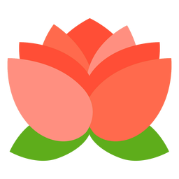 Flor de lótus plana Desenho PNG