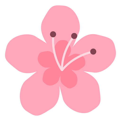 Flor de Maravilla plana Desenho PNG