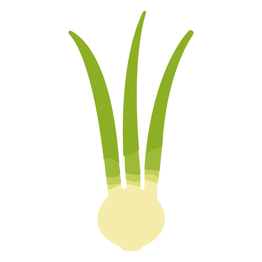 Cebola verde plana Desenho PNG