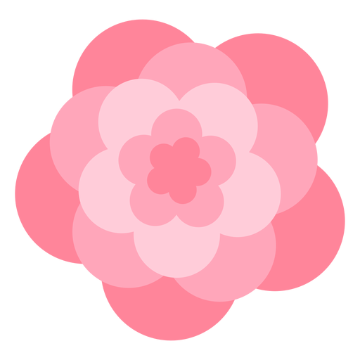 P?talas grandes de flor rosa achatadas Desenho PNG