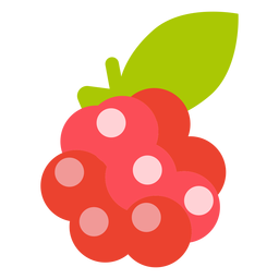 Fruta de frambuesa plana Diseño PNG