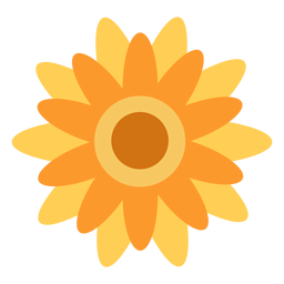 Sunflower flat Sunflower flat