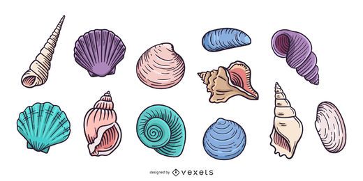 Coleção de conchas desenhadas à mão