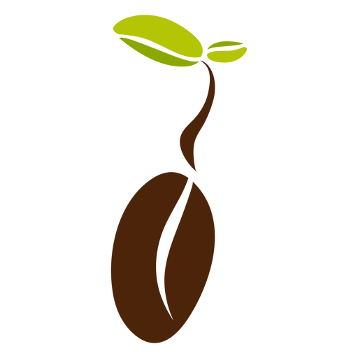 Cofee bean leaves Transparent PNG & SVG vector file