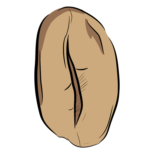 Coffee bean hand drawn top PNG Design