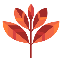 Cinco folhas cortadas em papel Desenho PNG