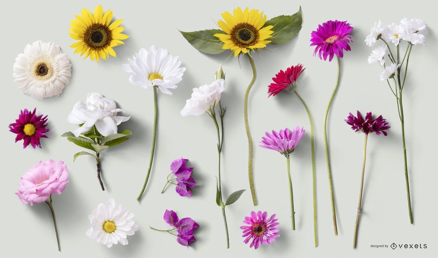 Floral PSD Elements for Mockups Floral PSD Elements for Mockups