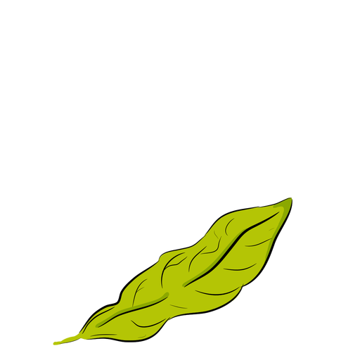 Folhas verdes vincadas Desenho PNG