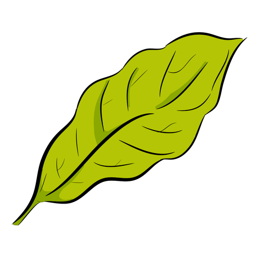 Vista lateral da folha verde Desenho PNG
