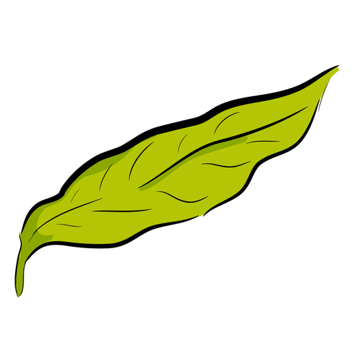 Leaf of coffee PNG Design