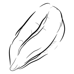 Um grão de café desenhado à mão Desenho PNG
