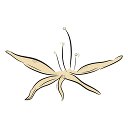 Simple Coffee Flower Transparent PNG & SVG Vector