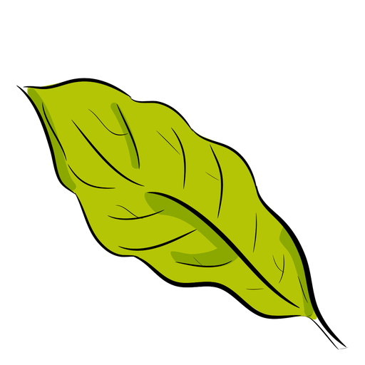 Einfaches grünes Blatt PNG-Design
