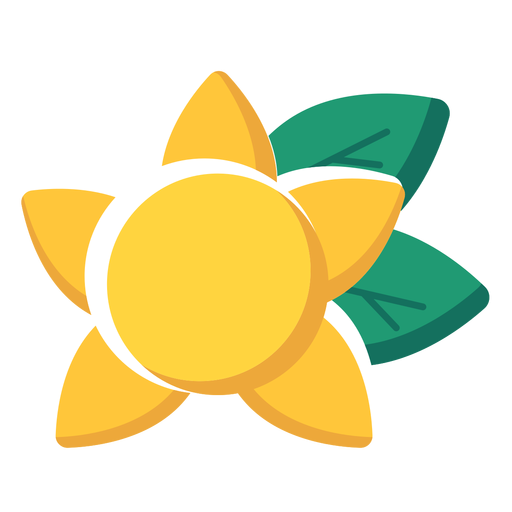 Flor del sol Diseño PNG
