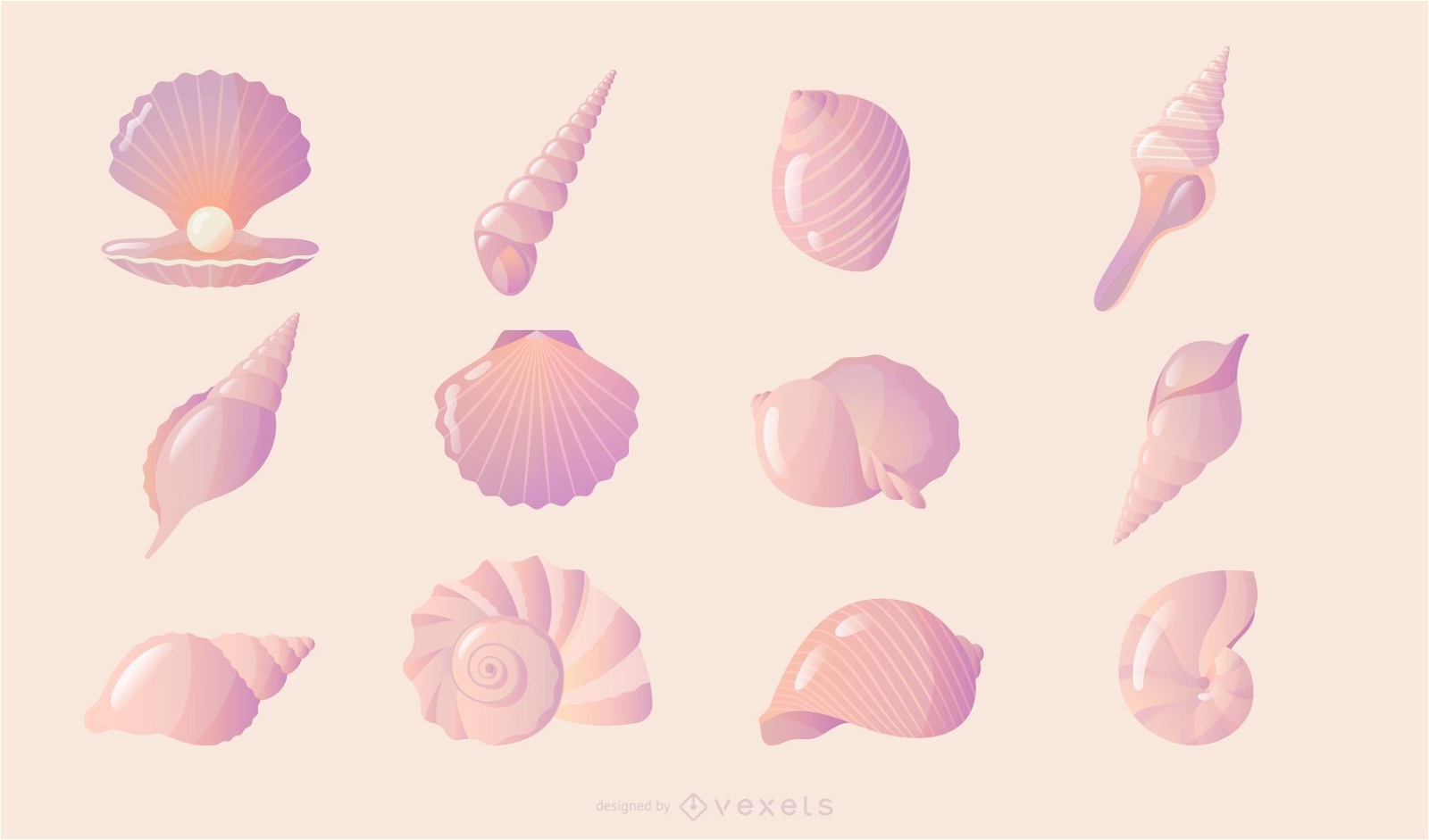 Seashell gradient collection