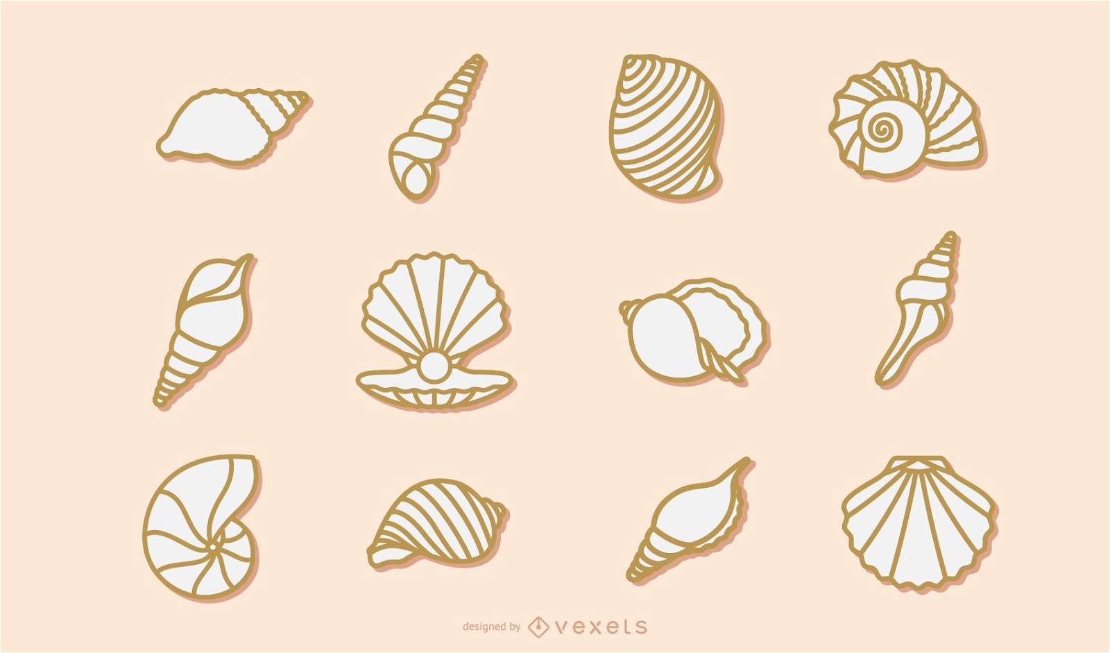 Seashell stroke collection