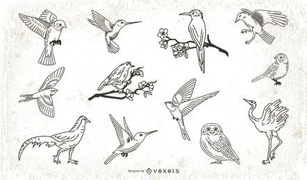 Stroke Style Bird Illustration Collection