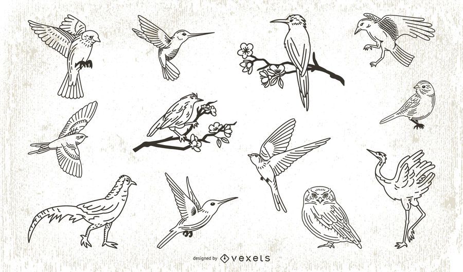 Stroke Style Bird Illustration Collection Stroke Style Bird Illustration Collection