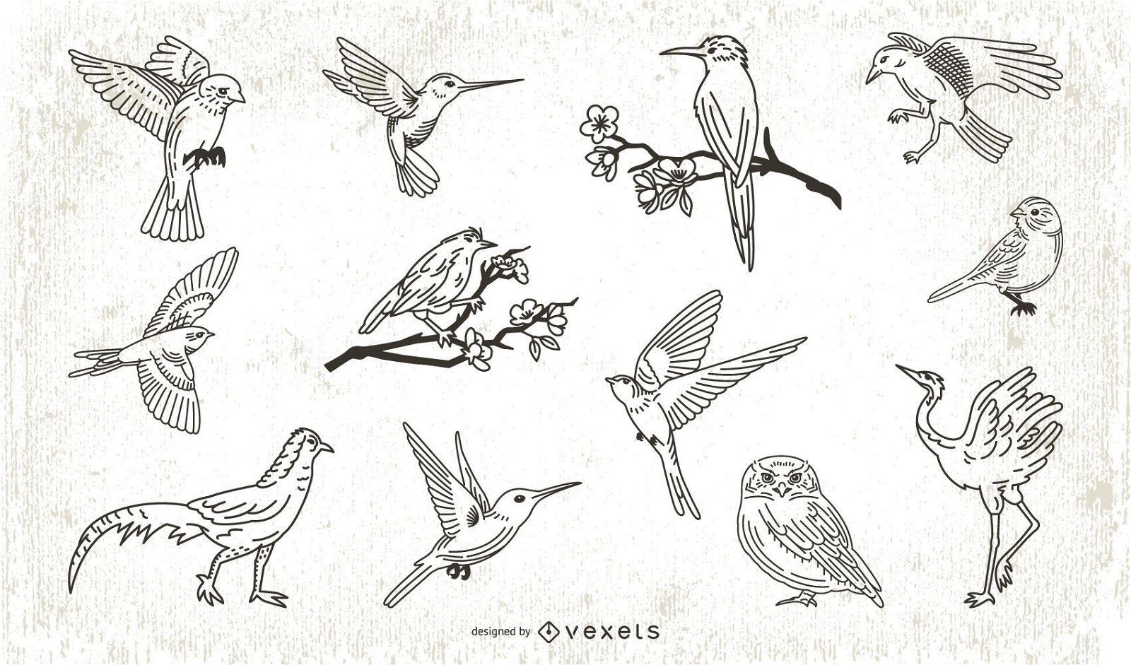 Stroke Style Bird Illustration Collection