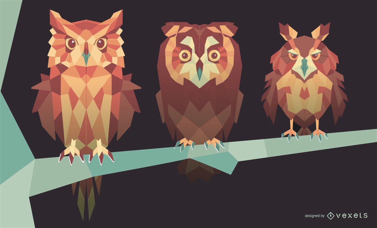 Geometric Owl Illustration Set