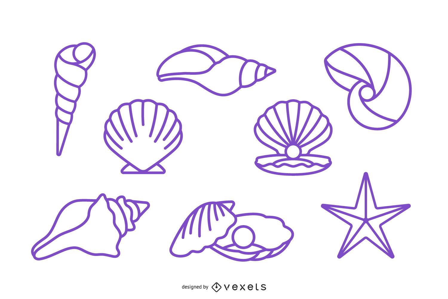 Paquete de diseño de concha marina de trazo
