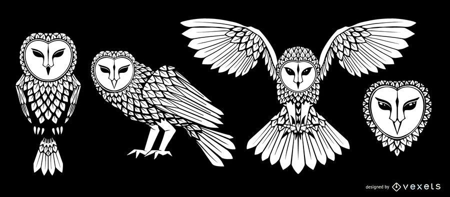 Barn owl stroke illustration set Barn owl stroke illustration set