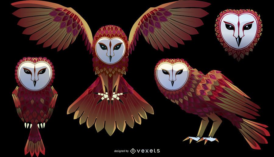 Barn owl illustration set Barn owl illustration set