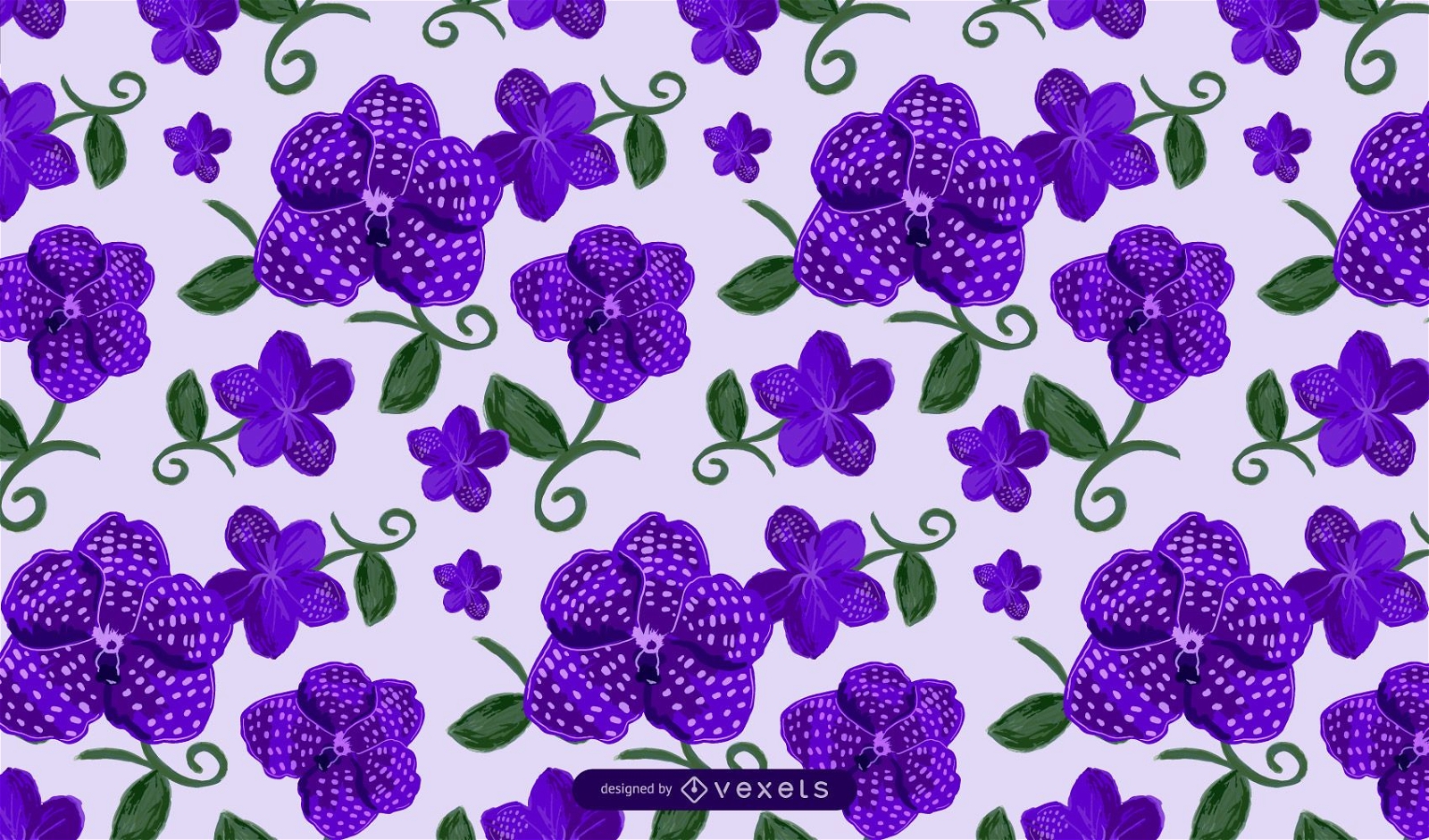 Desenho de padrão de flores Vanda