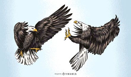 Fighting Eagles Illustration Design Fighting Eagles Illustration Design