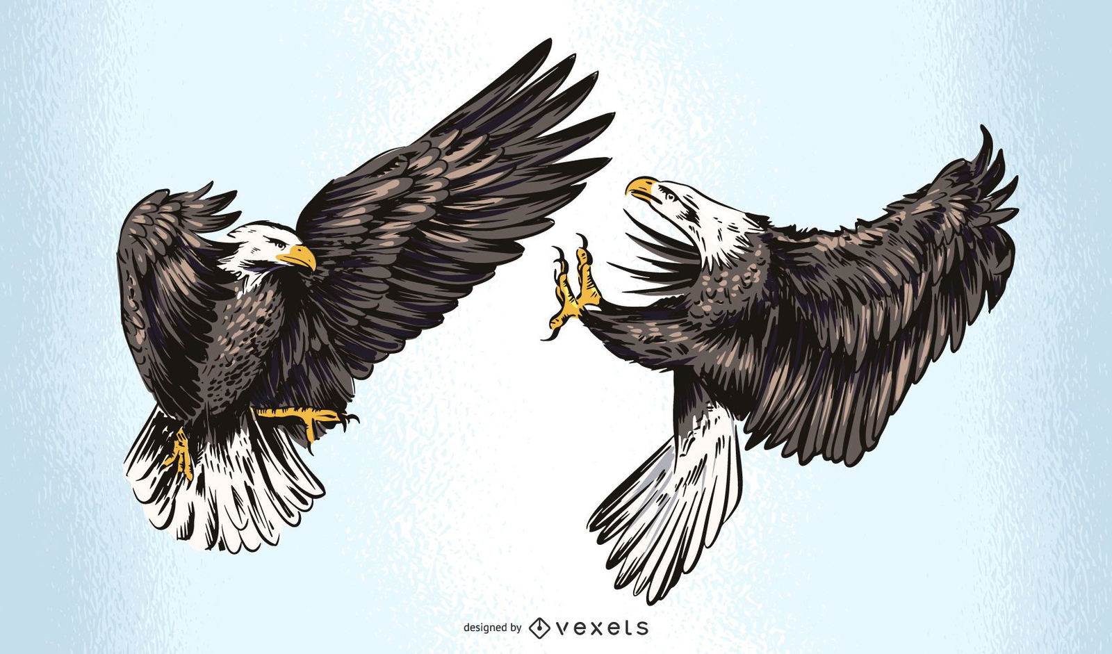 Fighting Eagles Illustration Design