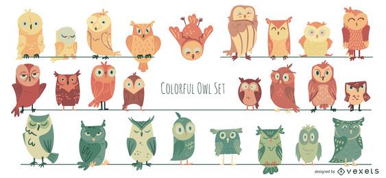 Coleção de ilustrações coloridas de coruja Coleção de ilustrações coloridas de coruja