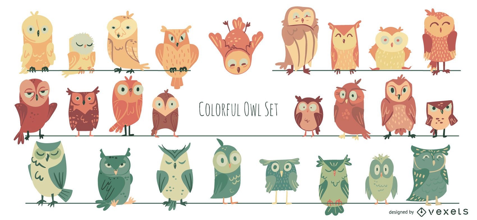 Coleção de ilustrações coloridas de coruja
