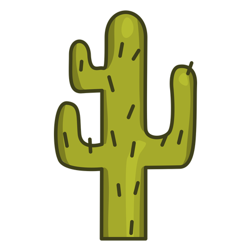 Cactus plant colorful icon stroke PNG Design