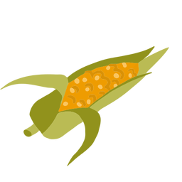 Hojas de mazorca de maíz isométrica Diseño PNG