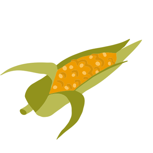 Corn cob leaves isometric