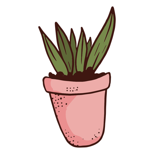 Ilustración de planta herbácea de maceta Diseño PNG