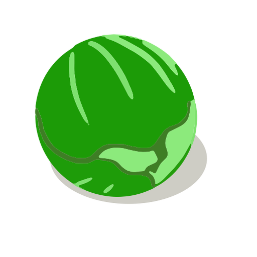 Green cabbage isometric