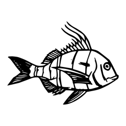 Hand gezeichneter Fisch PNG-Design