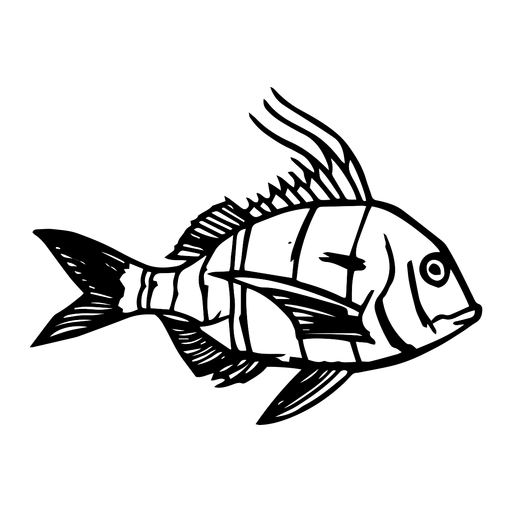 Hand gezeichneter Fisch PNG-Design