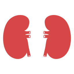 Silhueta vermelha de rins humanos Desenho PNG