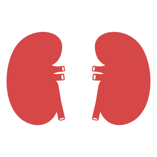 Human kidneys red silhouette PNG Design