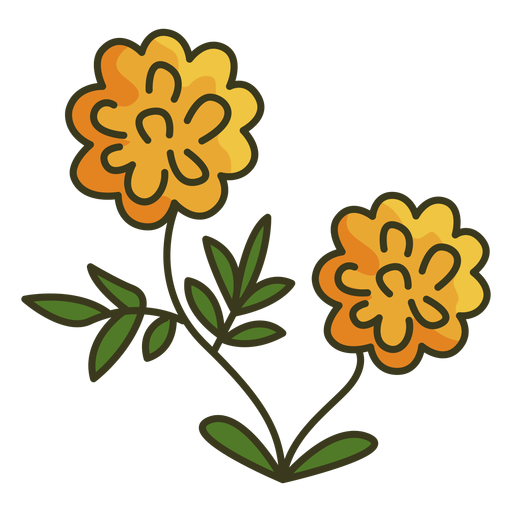 Mexican marigold colorful icon stroke PNG Design