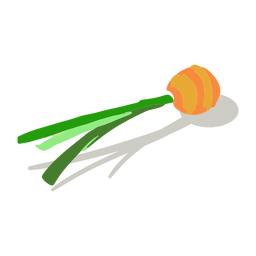 Orange Karottenoberteil isometrisch PNG-Design