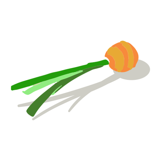 Orange carrot top isometric PNG Design