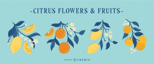 Conjunto de ilustração de frutas e flores cítricas de primavera