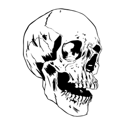 Cráneo dibujado fresco Diseño PNG