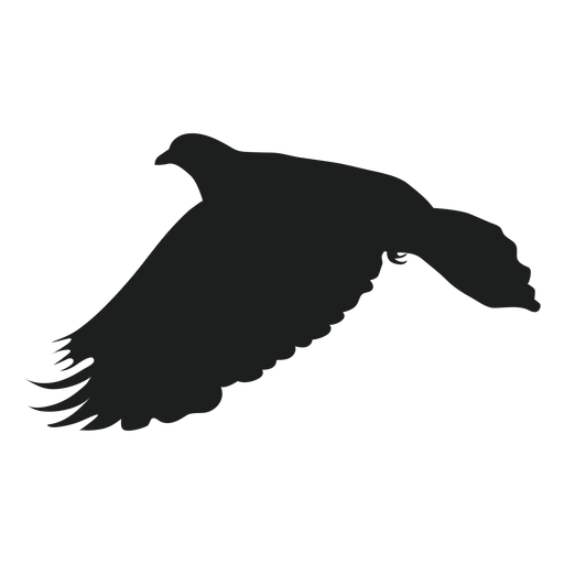 Download Flying pigeon silhouette - Transparent PNG & SVG vector file