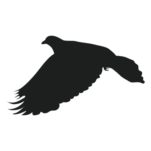 Silhueta de pombo voador Desenho PNG