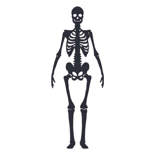 Skelettschattenbild der Vorderansicht PNG-Design